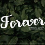 Forever Script Font Poster 1