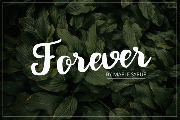 Forever Script Font