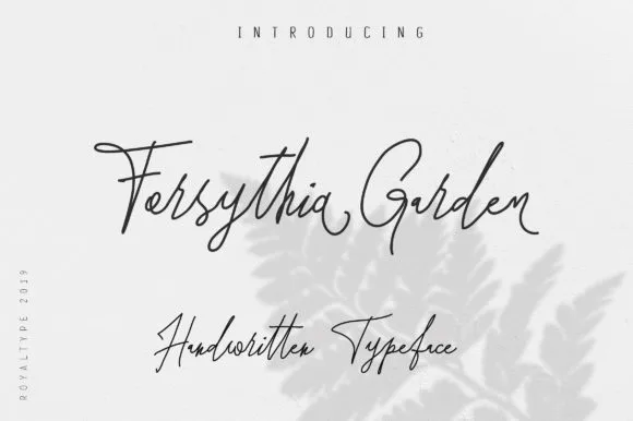 Forsythia Garden Font Forsythia Garden Font Poster 1