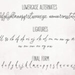 Forsythia Garden Font Poster 7