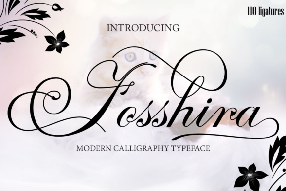 Fosshira Script Font