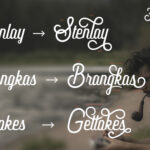 Frankey Font Poster 7