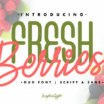 Fresh Berries Font Poster 1