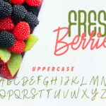 Fresh Berries Font Poster 3