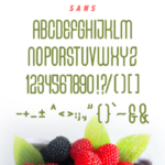 Fresh Berries Font Poster 6