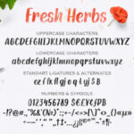 Fresh Herbs Font Poster 6