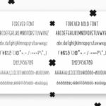 Friends Forever Duo Font Poster 10