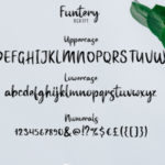Funtery Duo Font Poster 9