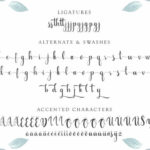 Gabylia Script Font Poster 14