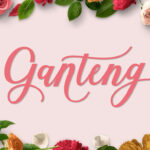 Ganteng Script Font Poster 1