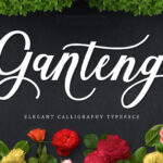 Ganteng Script Font Poster 13