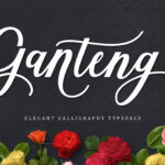 Ganteng Script Font Poster 14