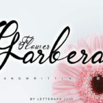 Garbera Family Font Poster 1