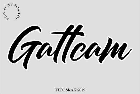 Gattcam Font Poster 1