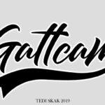 Gattcam Font Poster 2