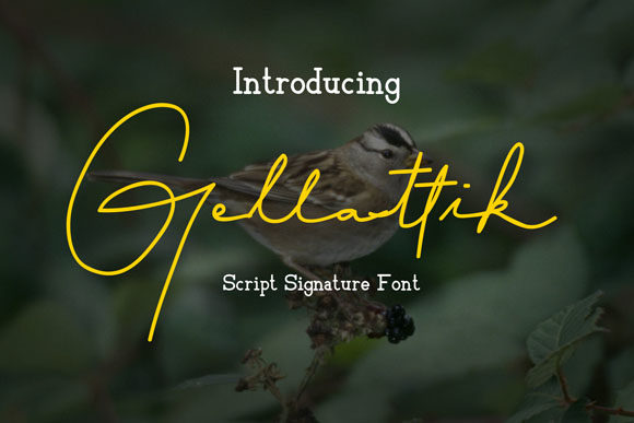 Gellattik Font Poster 1