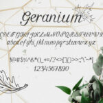 Geranium Font Poster 2