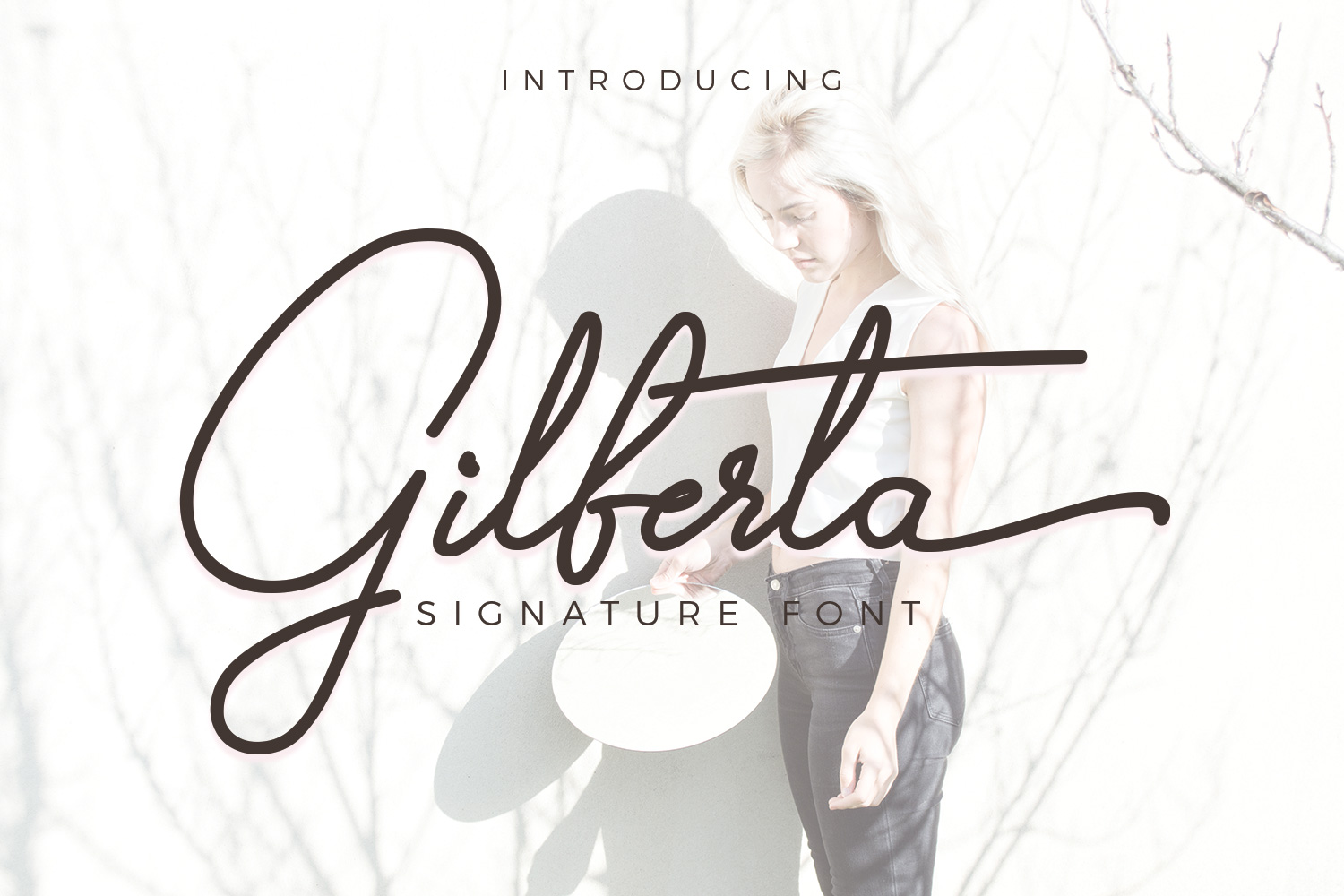 Gilberta Font