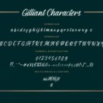 Gilliant Font Poster 7