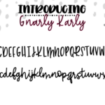 Gnarly Karly Font Poster 2
