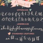 Gorgeously You Font Poster 2