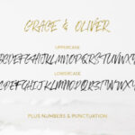 Grace & Oliver Font Poster 6