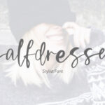 Halfdressed Font Poster 1