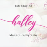 Halley Script Font Poster 1