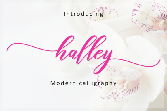 Halley Script Font Poster 1