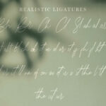 Halmaherra Font Poster 11