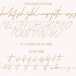 Hamidal Font Poster 6