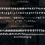 Handpick Font Poster 7