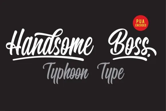 Handsome Boss Font Handsome Boss Font Poster 1