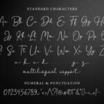 Hanston Font Poster 11