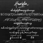 Harista Script Font Poster 8