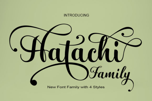 Hatachi Family Font