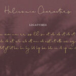 Heliconia Script Font Poster 5