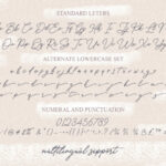 Hello Signature Font Poster 9