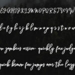 Hendryan Script Font Poster 4