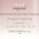 Here Antollio Valdi Duo Font Poster 7