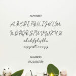 Hey Olivia Script Font Poster 2