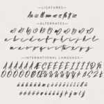 Hibrush Font Poster 12