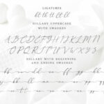 Hillary Font Poster 12