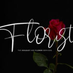 Hogart Script Font Poster 9