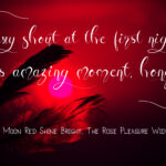 Honey Moon Midnight Font Poster 7