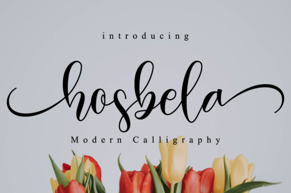 Hosbela Script Font