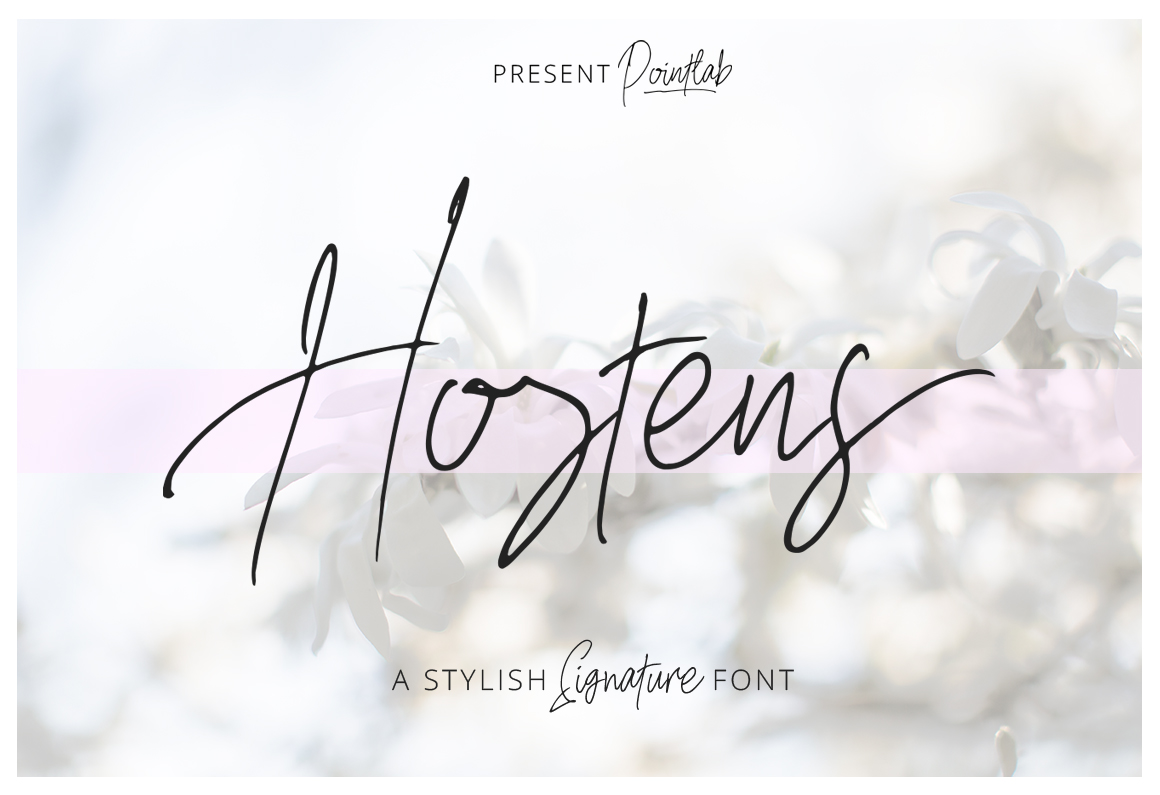 Hostens Signature Font Poster 1