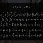 Intelligent Signature Font Poster 8
