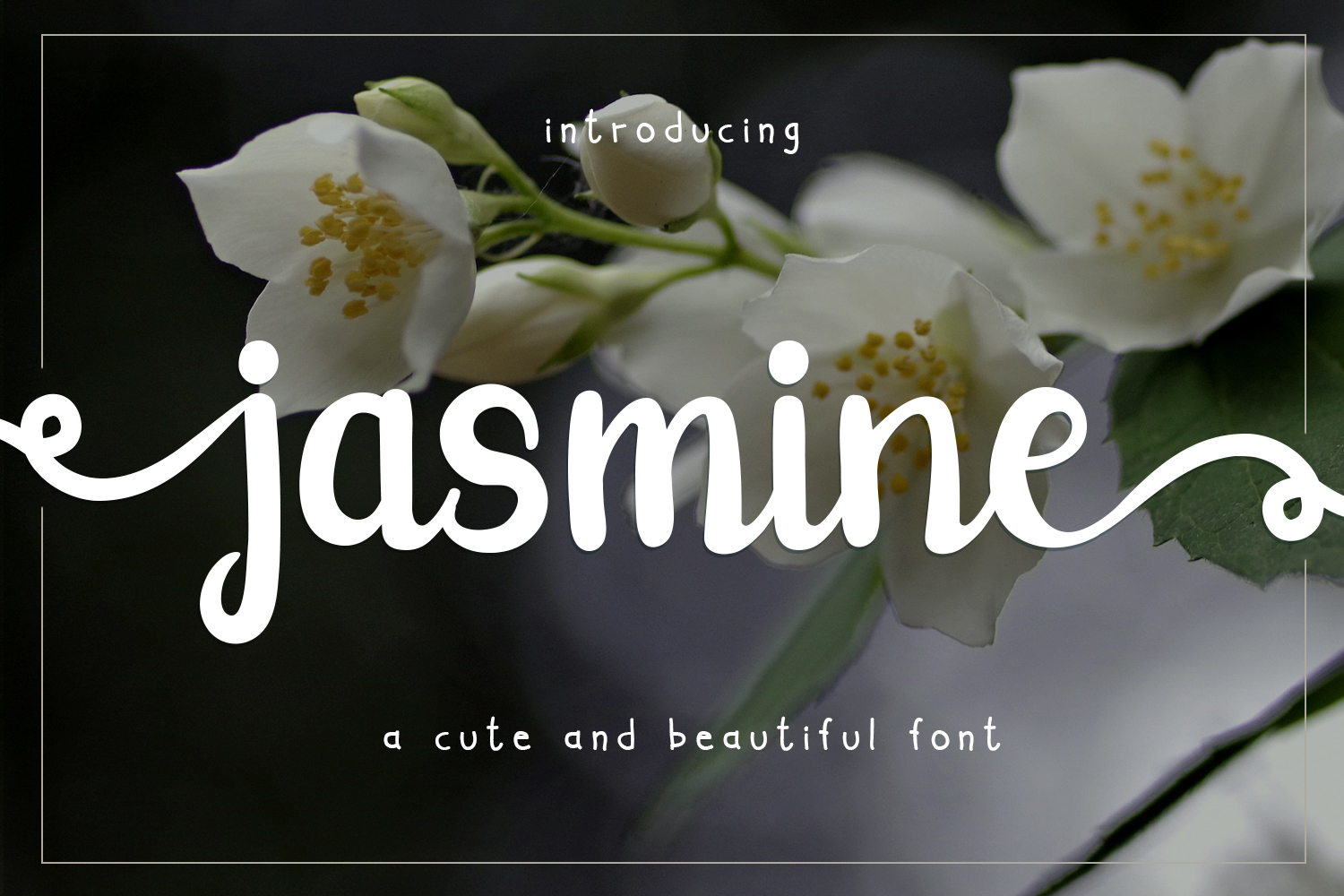 Jasmine Font