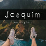 Joaquim Font Poster 1